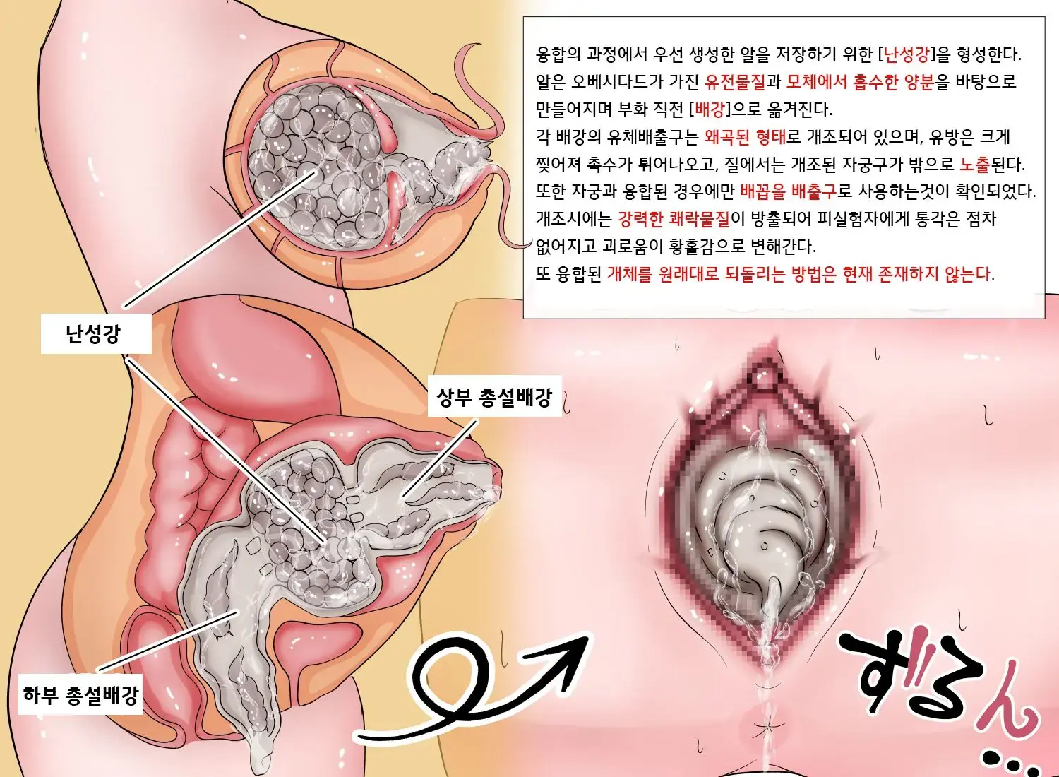 Insect Research Report EX